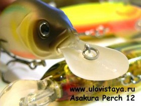  Asakura Perch 12 DR-F